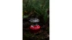 Koche Primus  Trail Stove