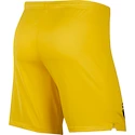 Kurze Hosen Nike