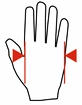MadMax Handschuhe Clasic MFG248 braun