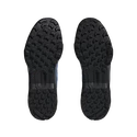 Männer Schuhe adidas  Terrex EASTRAIL 2