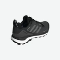 Männer Schuhe adidas  Terrex Skychaser 2 GTX Black