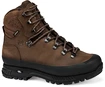 Männer Schuhe Hanwag  Nazcat GTX hnědá