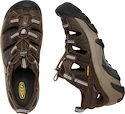 Männer Schuhe Keen  ARROYO II MEN