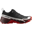 Männer Schuhe Salomon  Cross Hike GTX 2
