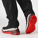 Männer Schuhe Salomon  Cross Hike GTX 2