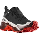 Männer Schuhe Salomon  Cross Hike GTX 2