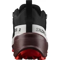 Männer Schuhe Salomon  Cross Hike GTX 2