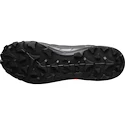 Männer Schuhe Salomon  Cross Hike Mid GTX 2 Black