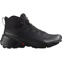 Männer Schuhe Salomon  Cross Hike Mid GTX 2 Black