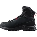 Männer Schuhe Salomon  Quest Winter TS CSWP Black