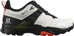 Männer Schuhe Salomon  X Ultra 4 Gore-Tex