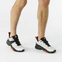Männer Schuhe Salomon  X Ultra 4 Gore-Tex