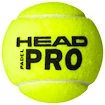 Padelbälle Head  Padel Pro (3 Pack)