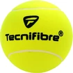 Riesen Tennisball Tecnifibre Giant Promo Ball