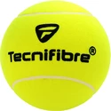Riesen Tennisball Tecnifibre  Giant Promo Ball