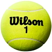 Riesen Tennisball Wilson  Roland Garros 5" Mini Jumbo Yellow