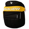 Rucksack Bauer  Glove Backpack Boston Bruins