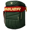 Rucksack Bauer  Glove Backpack Minnesota Wild