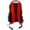 Rucksack Forever Collectibles Action Backpack NHL Detroit Red Wings