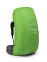 Rucksack OSPREY  Atmos AG 65 Enchantment Purple