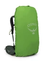 Rucksack OSPREY  Kestrel 38 Bonsai Green L/XL