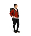 Rucksack OSPREY TRANSPORTER ROLL TOP PACK euphoria purple/purple ink
