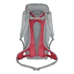 Rucksack Salewa  Alp Mate 30 WS Alloy