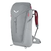 Rucksack Salewa  Alp Mate 30 WS Alloy