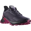 Salomon  Alphacross Blast J Mysterioso