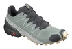 Salomon Speedcross 5 Herren Laufschuhe - grün