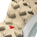 Salomon Speedcross 5 Herren Laufschuhe - grün