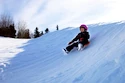 Schneerutscher  Stiga