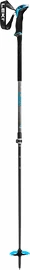Ski Stöcke Leki Guide Lite 2 Silver gray - Petrol - Black 110 - 150