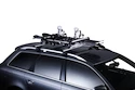 Skiträger Thule Xtender 739