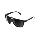 Sonnenbrille POC  Will Polarized
