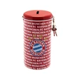 Spardose FC Bayern München