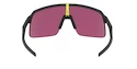 Sport Brille Oakley Sutro Lite