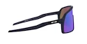 Sport Brille Oakley Sutro S
