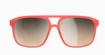Sport Brille POC  Will