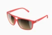 Sport Brille POC  Will