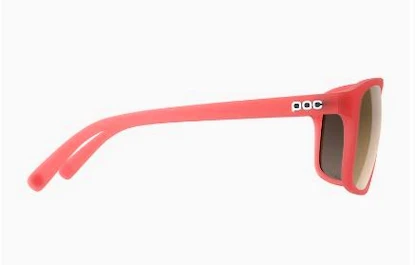 Sport Brille POC  Will