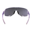 Sport Brille R2  Fluke AT100Y