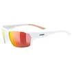 Sport Brille Uvex Sportstyle 233 P