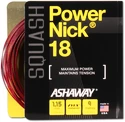 Squashsaite Ashaway  PowerNick 18 Zyex Red 1,15 mm