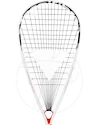 Squashschläger Tecnifibre  Dynergy AP 130