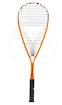 Squashschläger Tecnifibre  Dynergy AP 135