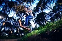 Street Surfing