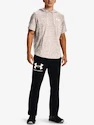 Sweatshirt Under Armour UA Rival Terry LC SS HD-WHT