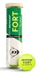 Tennisbälle Dunlop Fort All Court TS