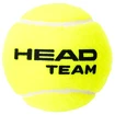 Tennisbälle Head Team (4 Stk.)